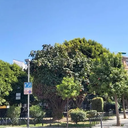 Del Parque Flats Urban Adults Luxury